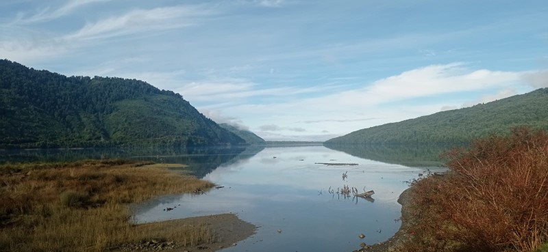 Mutuelles et naturopathie en France : liste, conseils et guide pratique pour se faire rembourser